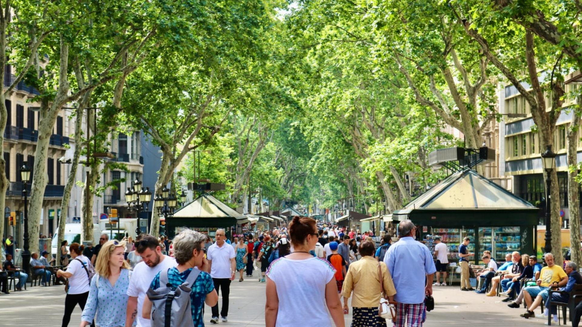 Las Ramblas in Barcelona: what to see in this picturesque street