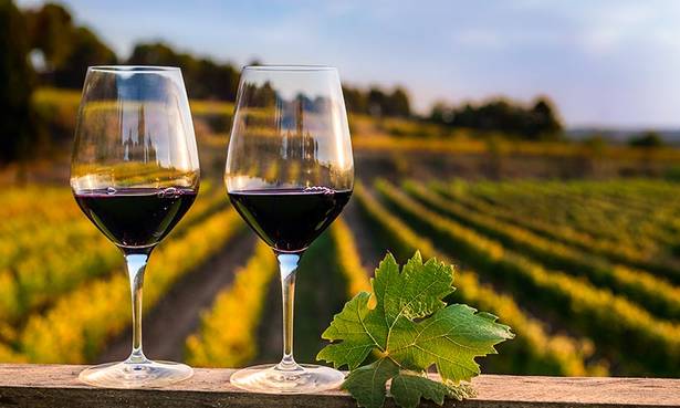 Vinos y viñedos en Barcelona: bodega y curso de cata de vinos