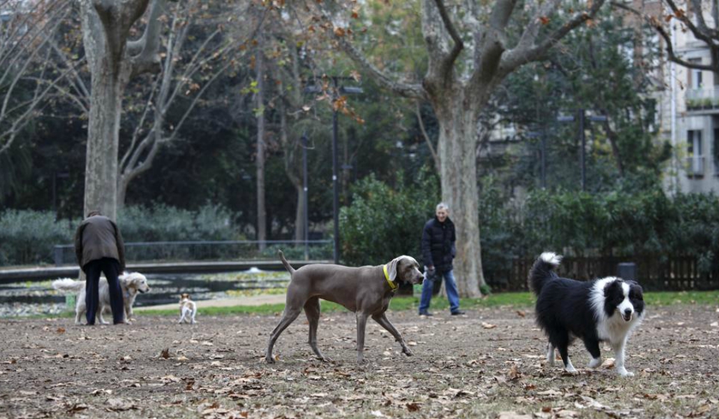 Estrenan macroáreas para perros en Barcelona