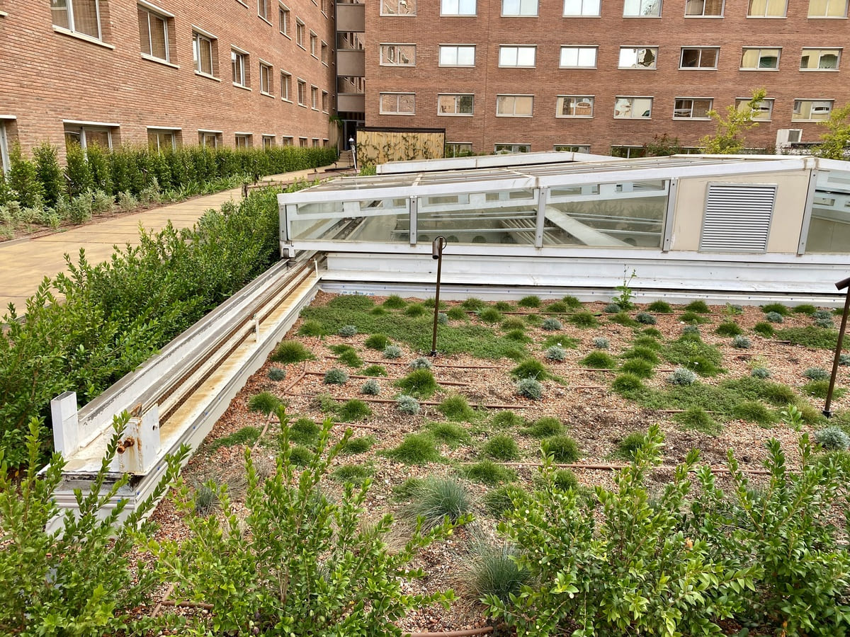 New garden and urban orchard at the Intercontinental in Barcelona