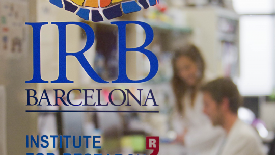 En el IRB de Barcelona identifican células causantes de metástasis en cáncer de colon