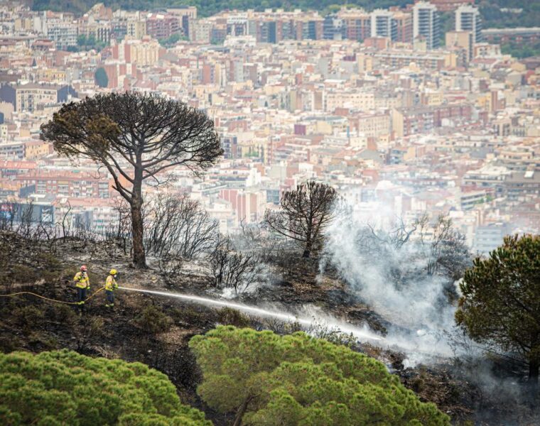Parques y bosques barceloneses en alerta máxima por incendios