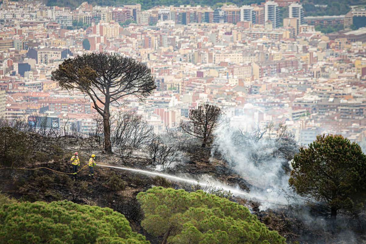 Parques y bosques barceloneses en alerta máxima por incendios