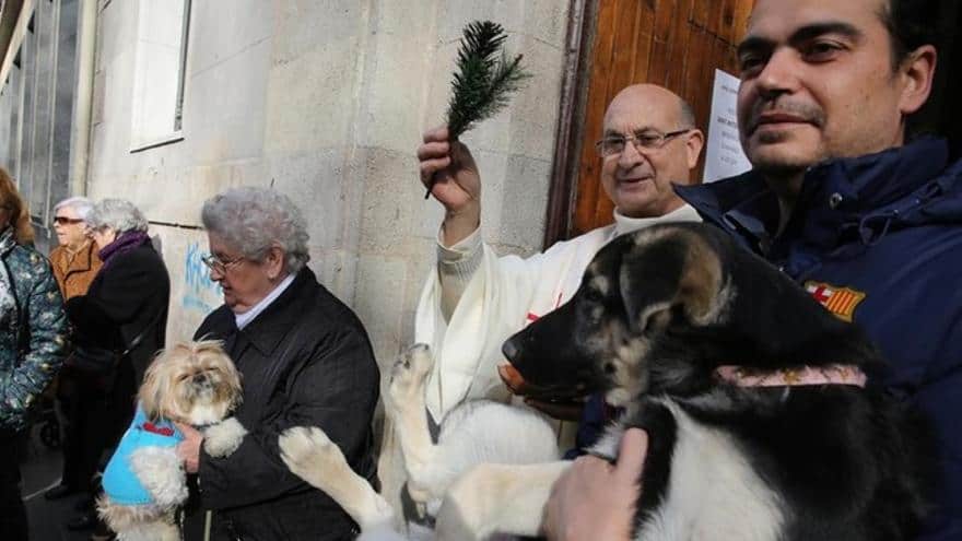 Benedizione degli animali e sfilata delle Tres Tombs durante le feste di Sant Antoni