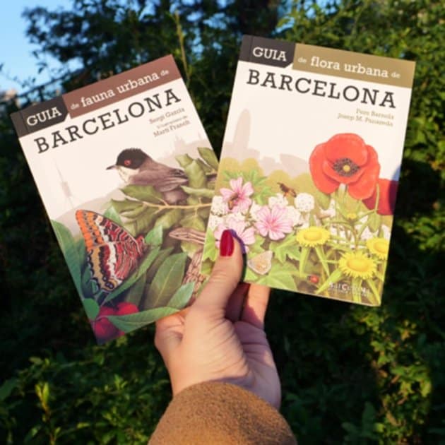 Nuevas guías de flora y fauna de Barcelona para explorar la diversidad urbana