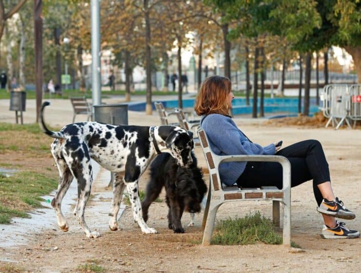 Indignación entre los dueños de perros por el cierre prematuro de parques en Barcelona