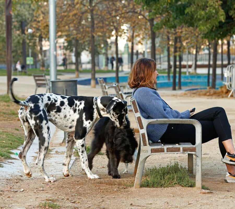 Indignación entre los dueños de perros por el cierre prematuro de parques en Barcelona