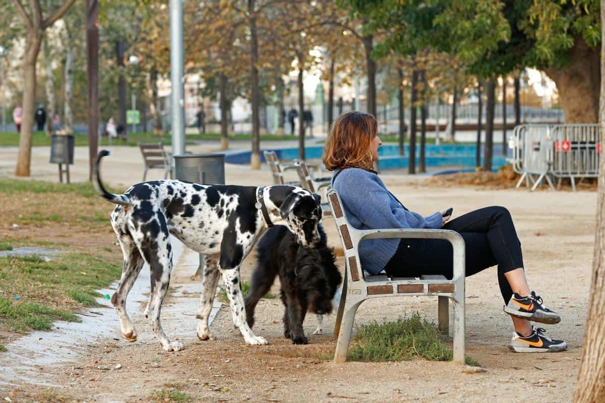 Proprietari di cani indignati per la chiusura prematura dei parchi di Barcellona