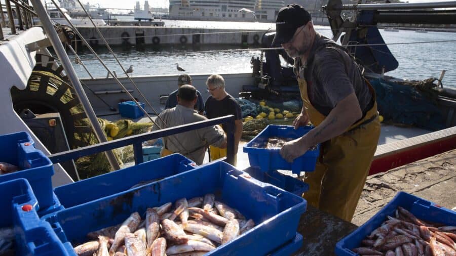 Desafíos y transformaciones: el declive de las pescaderías en Barcelona