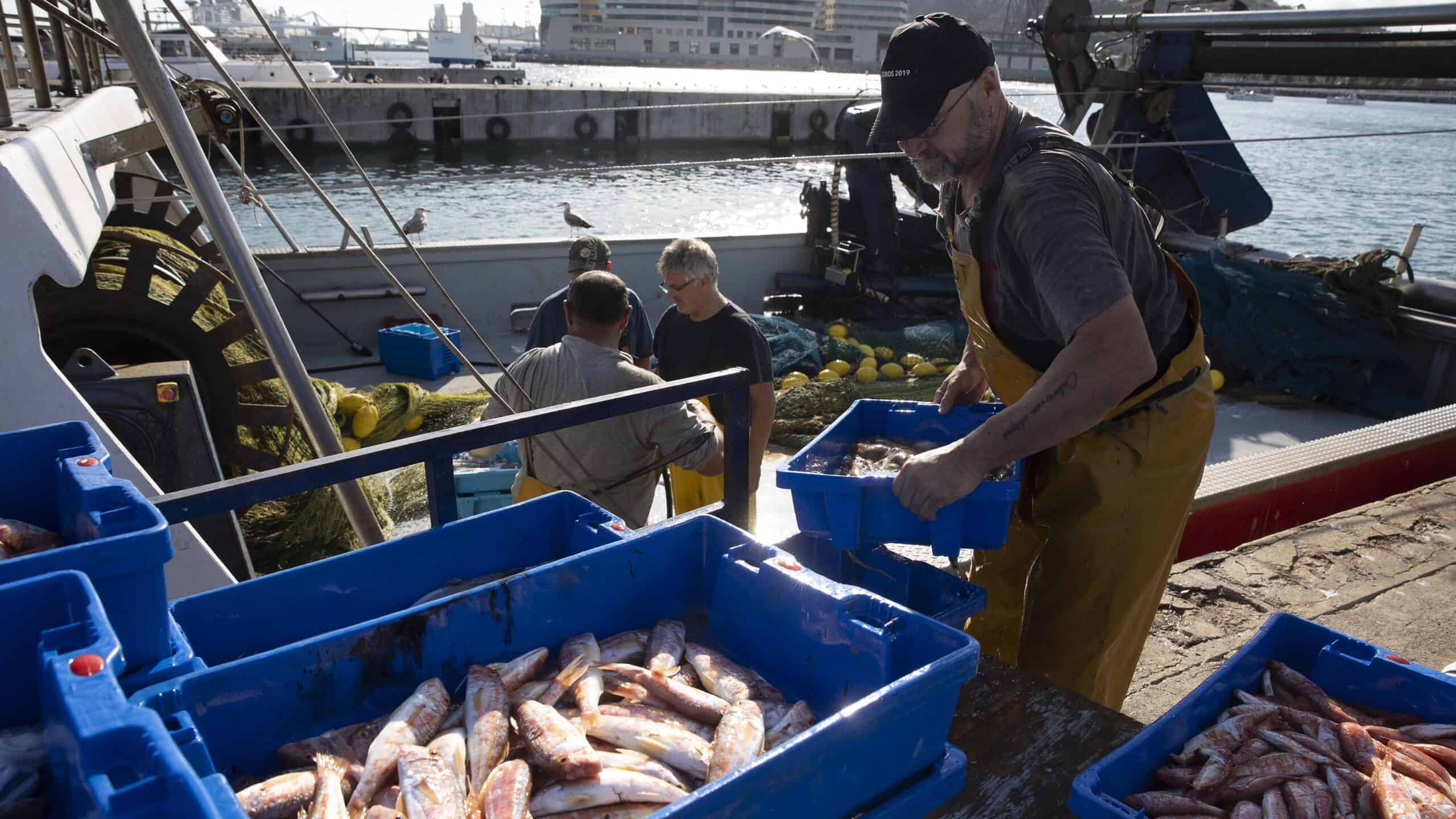 Challenges and transformations: the decline of fishmongers in Barcelona