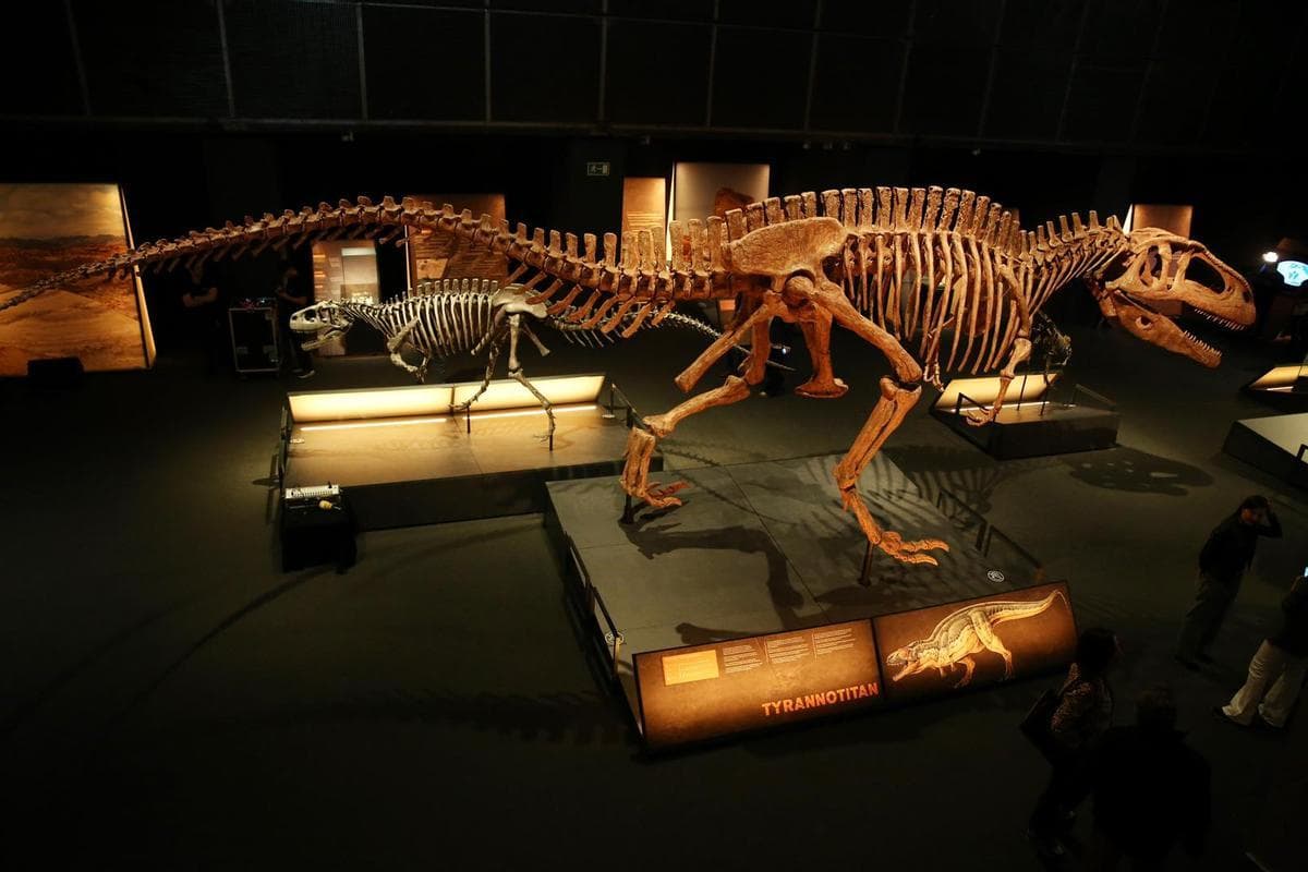 Discover in Barcelona the largest dinosaur in history