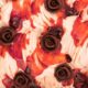 Badiani y sus helados de rosas para el Día de Sant Jordi
