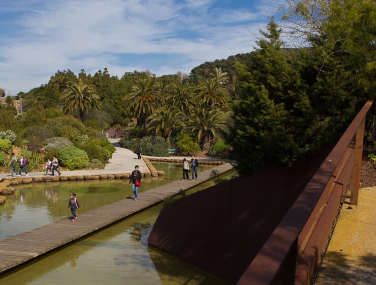 Actividades gratuitas en el Jardín Botánico de Barcelona con ocasión de su 25 aniversario